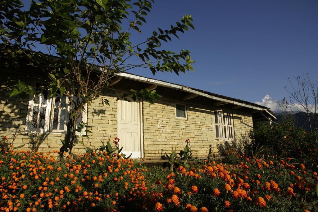 Annapurna Eco Village Ποκάρα Εξωτερικό φωτογραφία