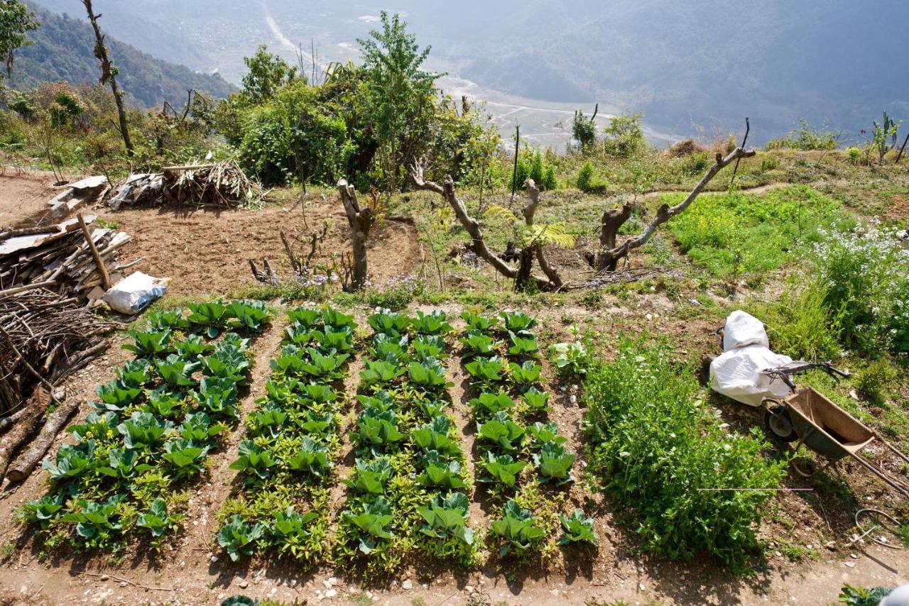 Annapurna Eco Village Ποκάρα Εξωτερικό φωτογραφία