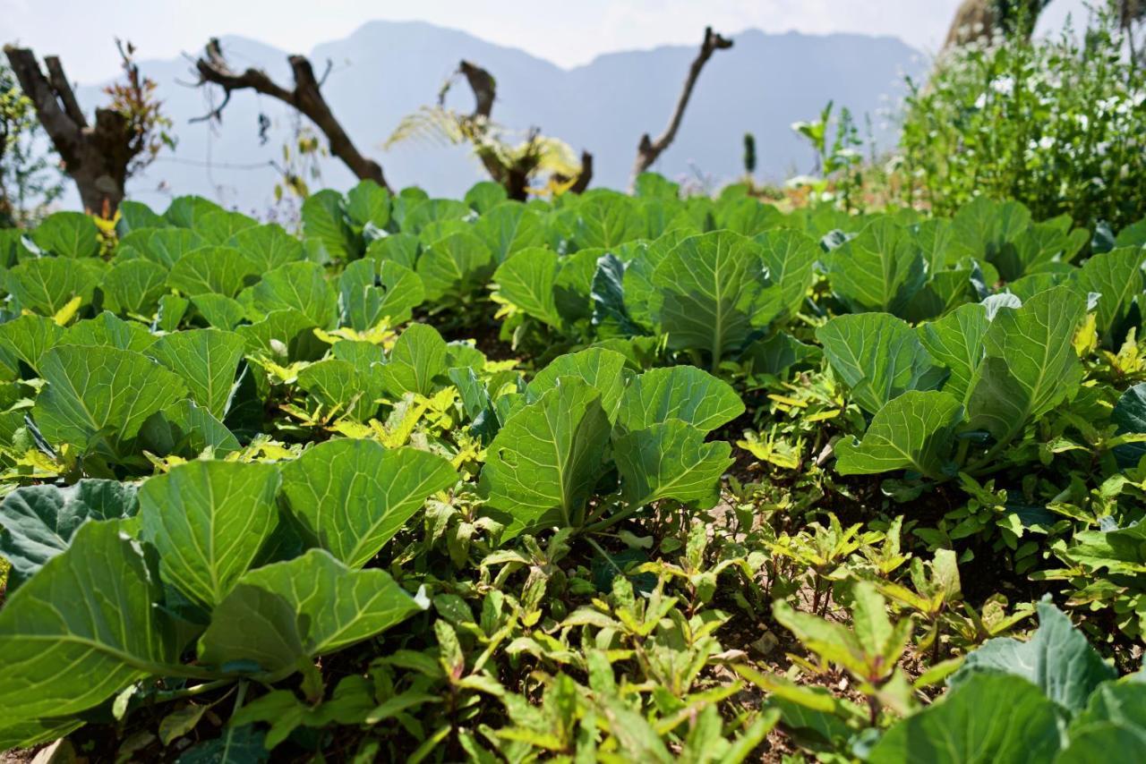 Annapurna Eco Village Ποκάρα Εξωτερικό φωτογραφία